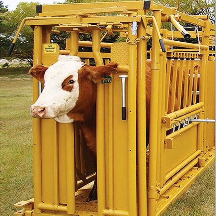 Cattle Manual Headgate