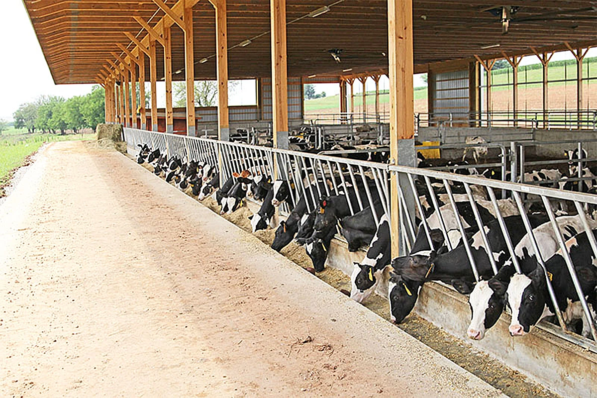 China Cattle feeder panels